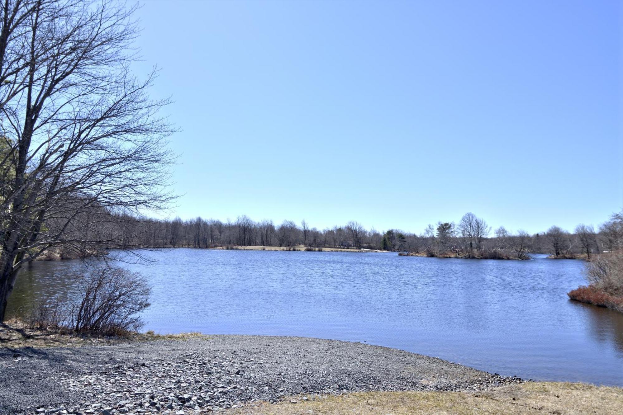 Lakehouse *Hottub*Jacuzzi*Firepit*Bbq*Pool Long Pond Bagian luar foto